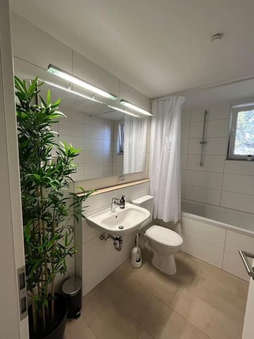 City Appartement Direkt Am Schloss! 卡尔斯鲁厄 外观 照片