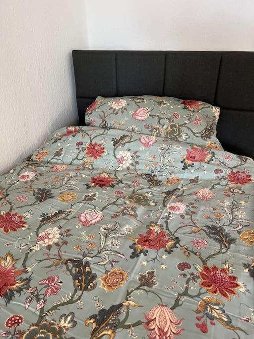 City Appartement Direkt Am Schloss! 卡尔斯鲁厄 外观 照片