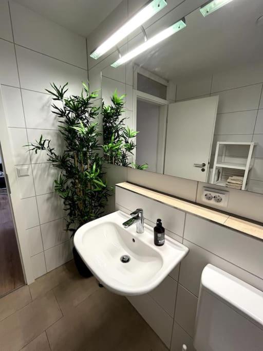 City Appartement Direkt Am Schloss! 卡尔斯鲁厄 外观 照片