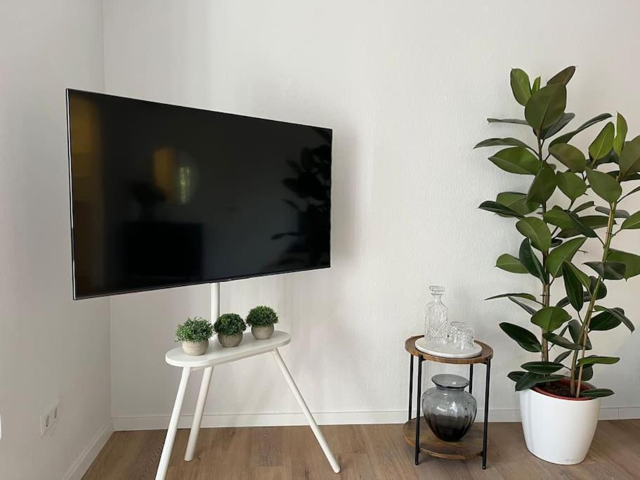 City Appartement Direkt Am Schloss! 卡尔斯鲁厄 外观 照片