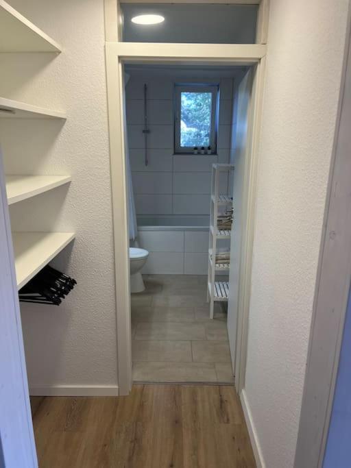 City Appartement Direkt Am Schloss! 卡尔斯鲁厄 外观 照片